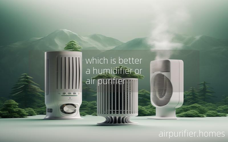 which is better a humidifier or air purifier