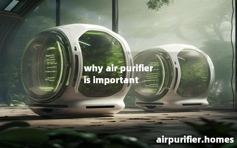 why air purifier is important