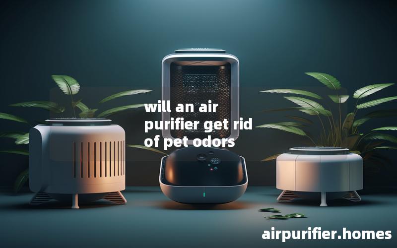 will an air purifier get rid of pet odors