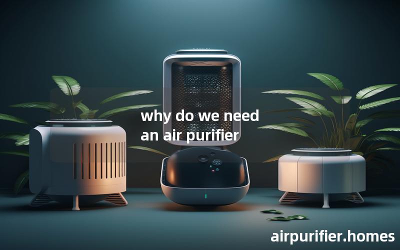 why do we need an air purifier